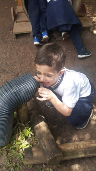 Bicho Mania 2022
